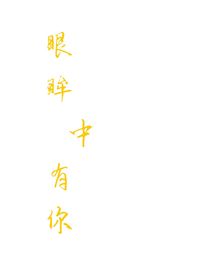 眼眸中有你