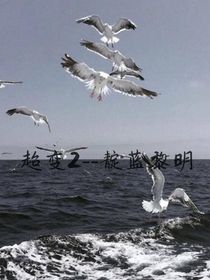 超变2——靛蓝黎明