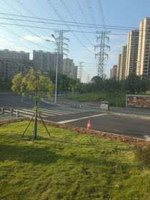 在车窗外