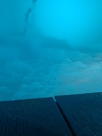 全架空ABOx獸人x異能