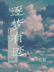 逐梦有迹
