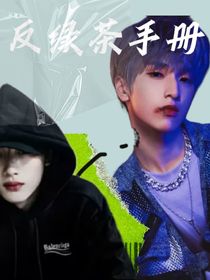 反綠茶手冊-d484