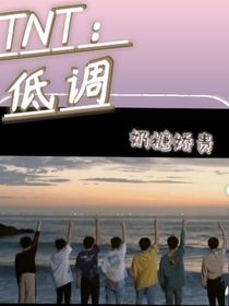 TNT：低调-d241