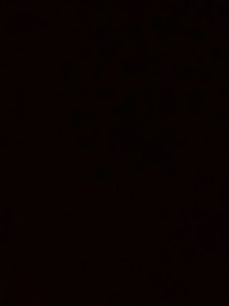 48556