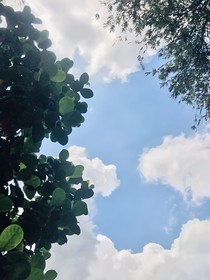 我在鄉(xiāng)下遇見帥哥