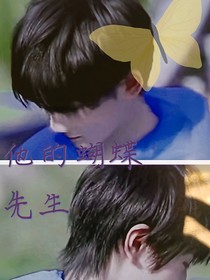 他的蝴蝶先生