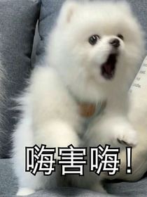 什么我居然重生了