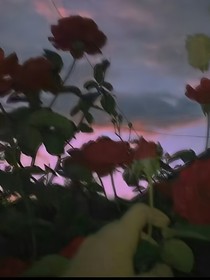 没名字可起