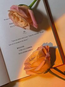 要我一女的攻略女主？！