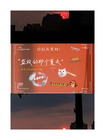 盛放的那个夏天