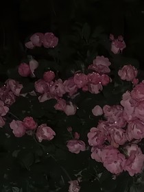 HP：當(dāng)遇見你