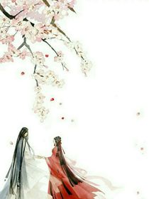 韶華泠泠然