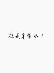 珠鮫（你是不是小笨蛋）
