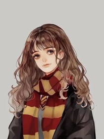 HP：你的事情怎么这么多（德赫）