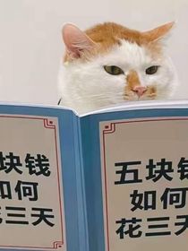 all瑞瑞子