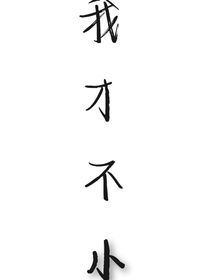 我才不小