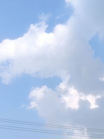 属于我的沈孟