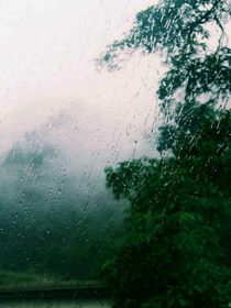 一起在大树下等雨停