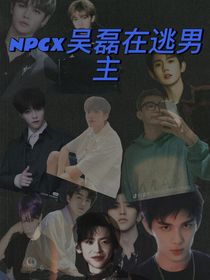 NPCX吳磊：在逃男主-d611