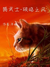 貓武士——破曉之風(fēng)