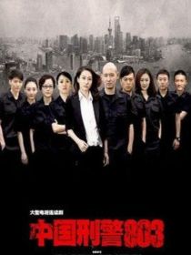 中国刑警803（改编版）-d821