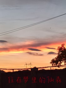 住在梦里的仙森