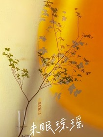 未眠琼瑶