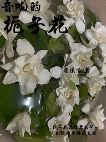 音响的栀子花