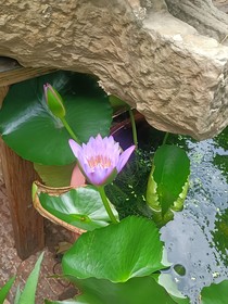 你是我的青春我的男孩