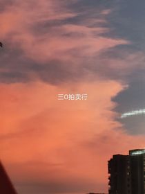 3o拍卖行
