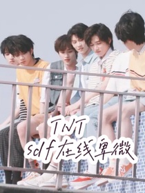 TNT：sdf在线卑微