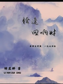 恰逢回响时