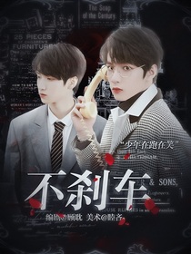 他说不踩刹车