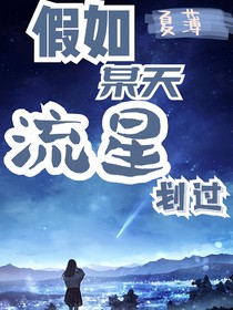 —假如某天流星劃過—