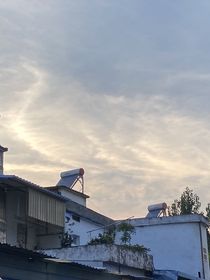 心心念恋……