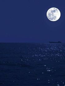 假如浪姐3是本书