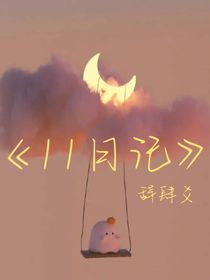 11日记