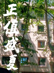 正值盛夏