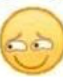 末世等于擼貓