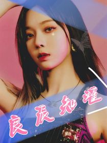良辰知瑾