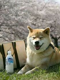 木魚的同居