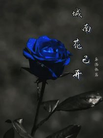 npc城南花已开-d639