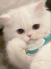 穿書之大腿等等我