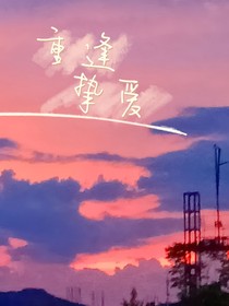 重逢挚爱