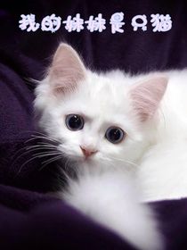 我的妹妹是只猫