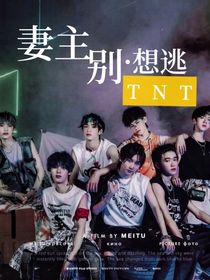 TNT：妻主别想逃