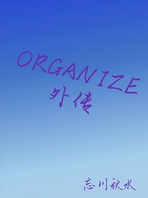 Organize外传