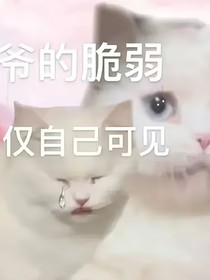 到底谁难哄