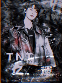 TNT：憶遺