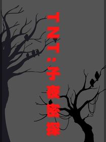 TNT：子夜密探